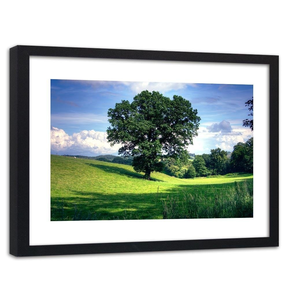 Glezna melnā rāmī - Tree Clearing 3 Home Trends