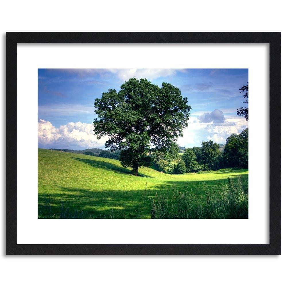 Glezna melnā rāmī - Tree Clearing 3 Home Trends