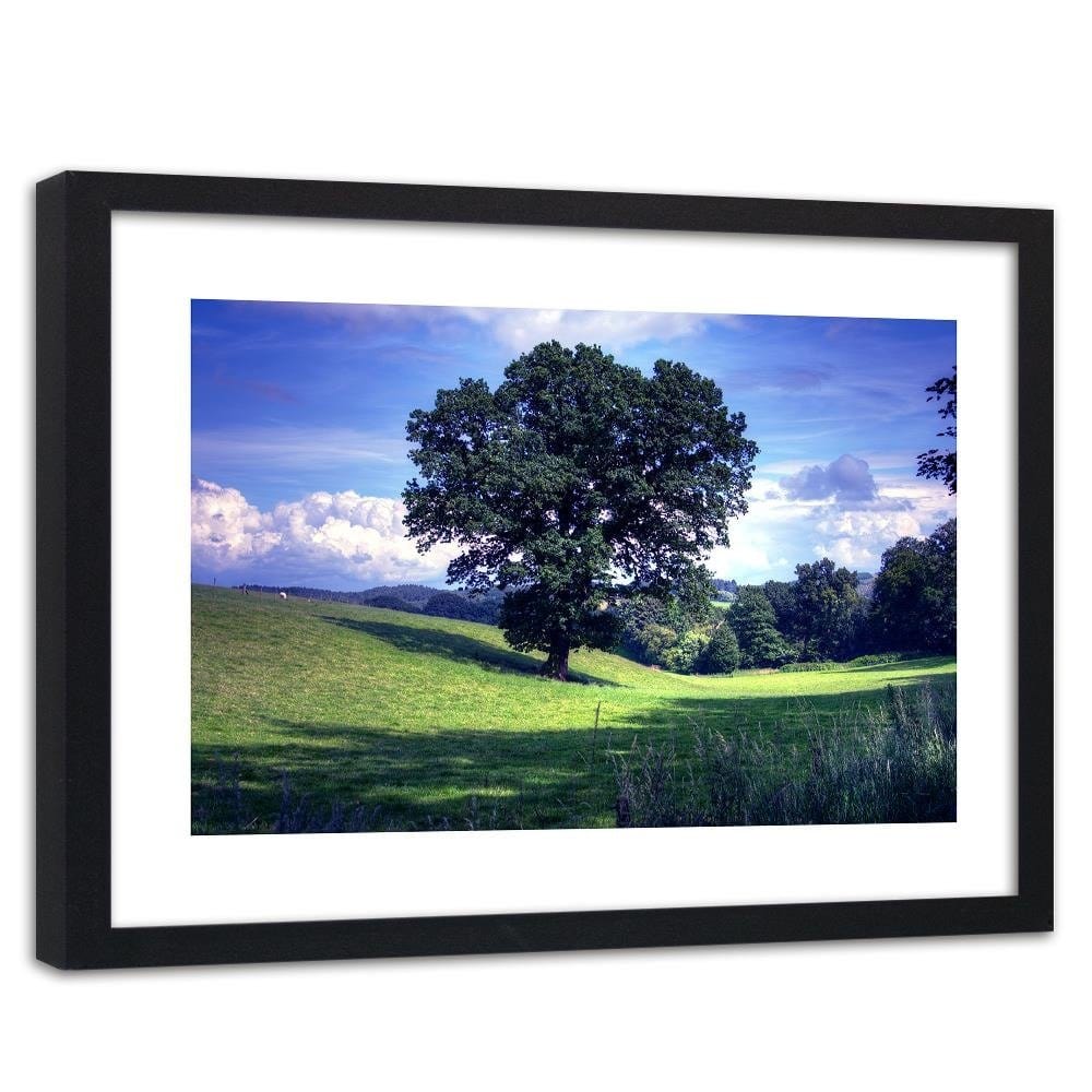 Glezna melnā rāmī - Tree Clearing 4 Home Trends