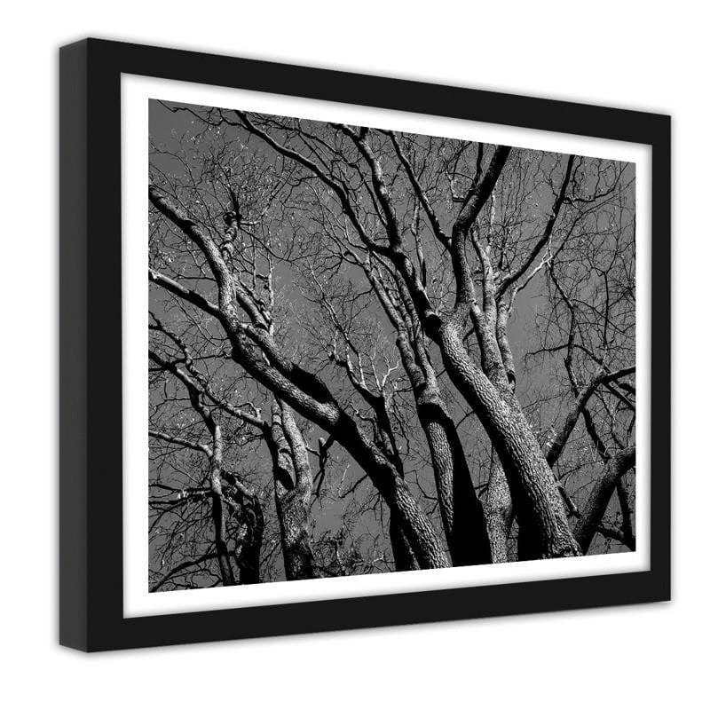 Glezna melnā rāmī - Tree crown 2 Home Trends