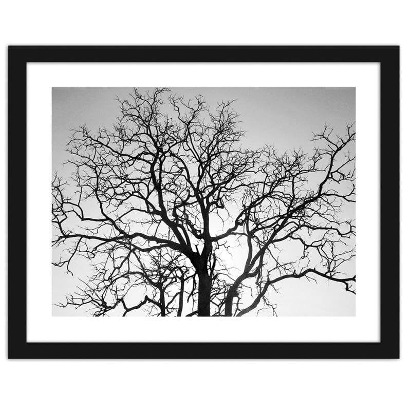 Glezna melnā rāmī - Tree crown Home Trends