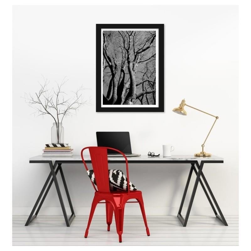 Glezna melnā rāmī - Tree crown in black and white Home Trends