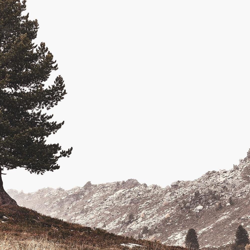 Glezna melnā rāmī - Tree On The Hills Home Trends
