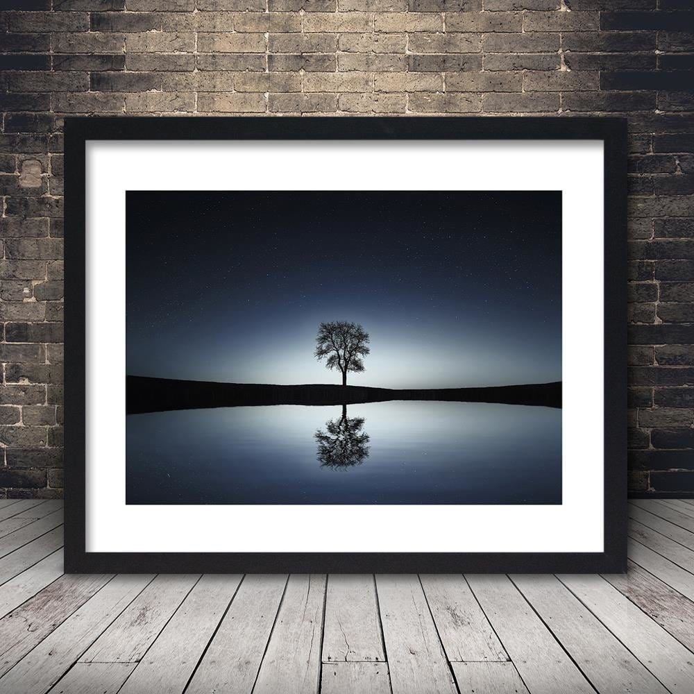 Glezna melnā rāmī - Tree Under The Stars Home Trends