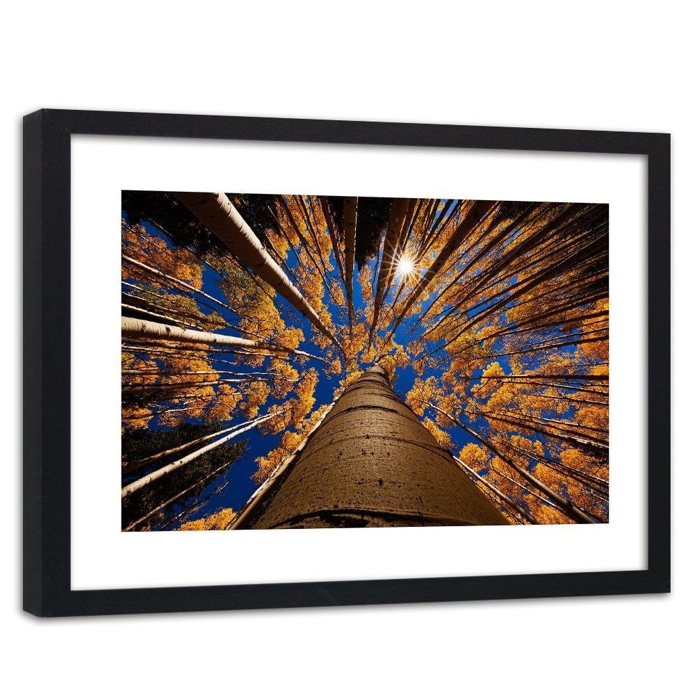 Glezna melnā rāmī - Treetops Home Trends