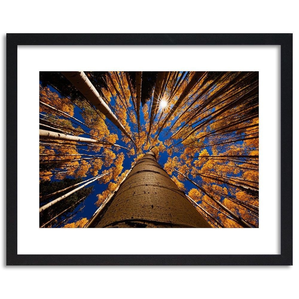 Glezna melnā rāmī - Treetops Home Trends