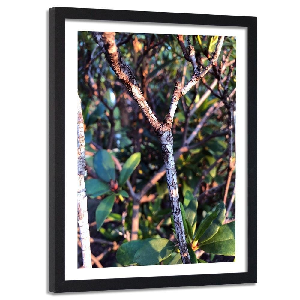 Glezna melnā rāmī - Twig Bush Home Trends