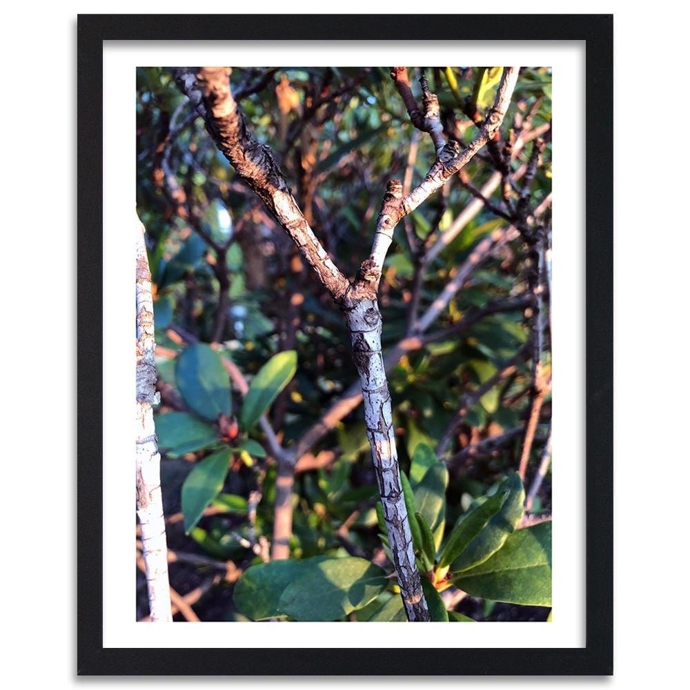 Glezna melnā rāmī - Twig Bush Home Trends