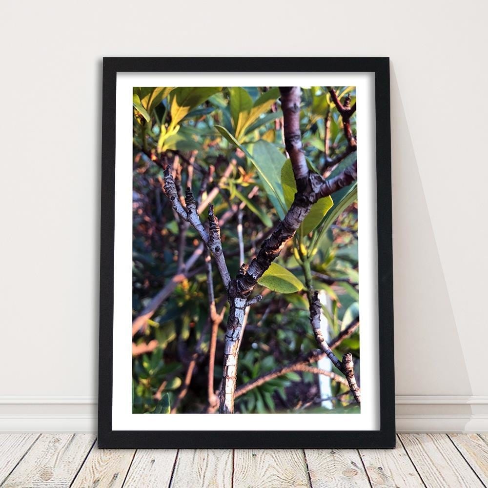 Glezna melnā rāmī - Twig Bush Home Trends