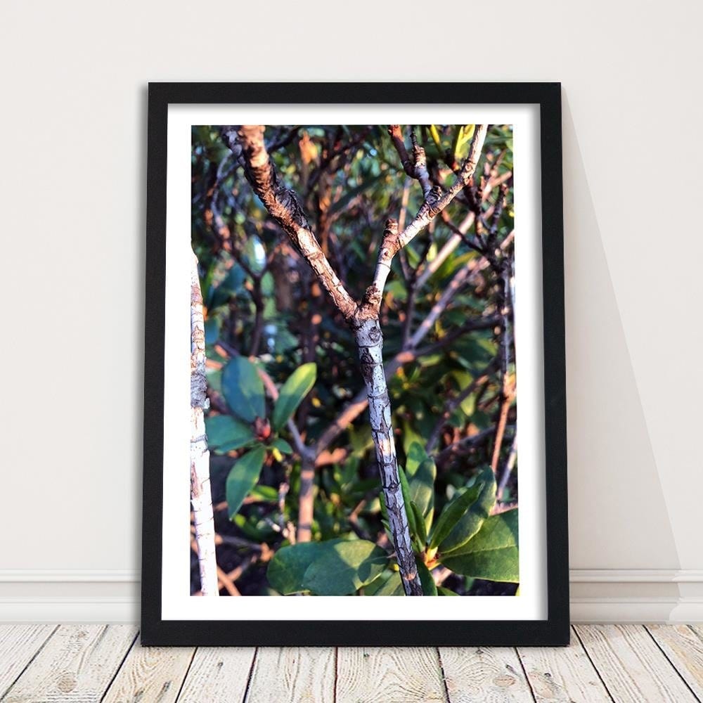 Glezna melnā rāmī - Twig Bush Home Trends