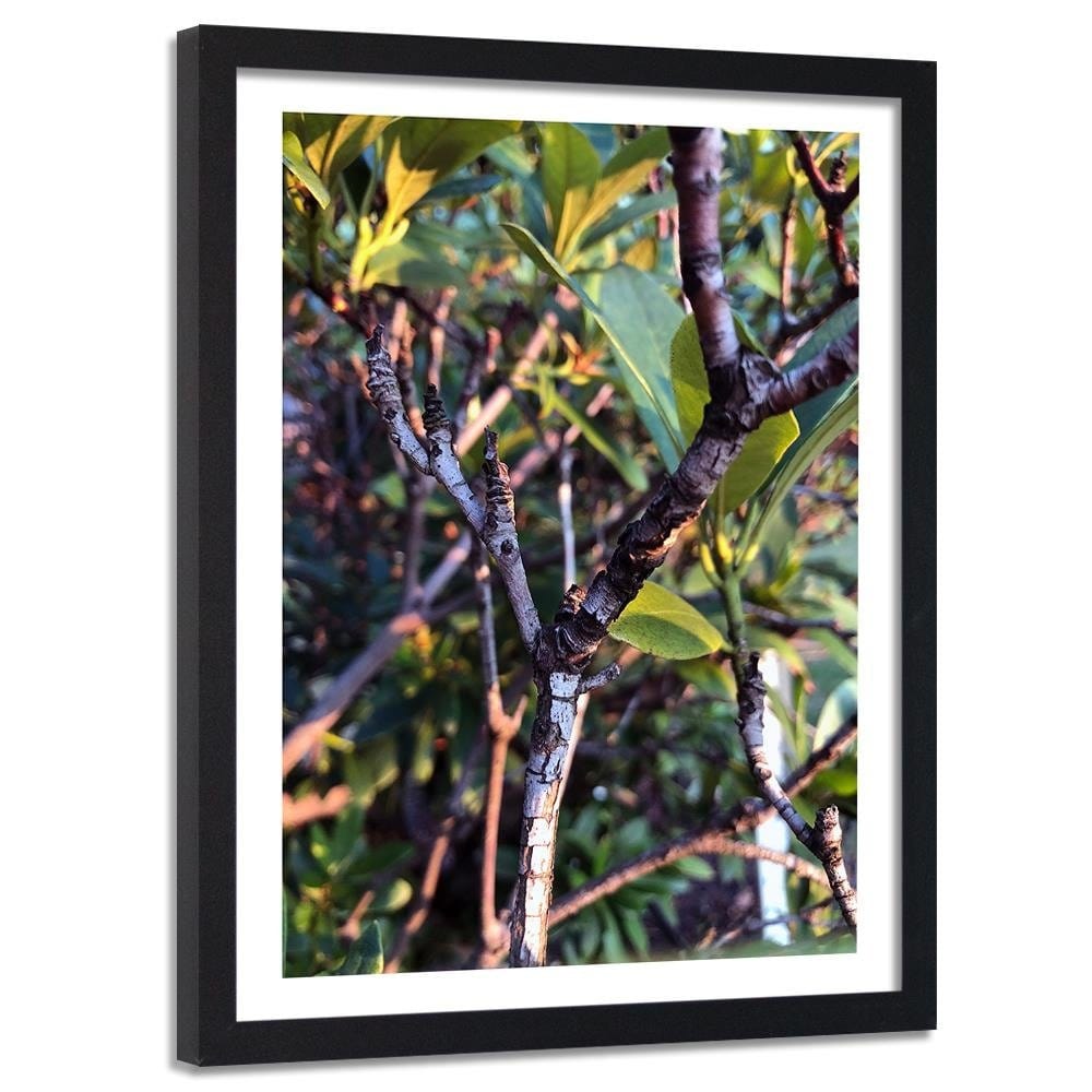 Glezna melnā rāmī - Twig Bush Home Trends