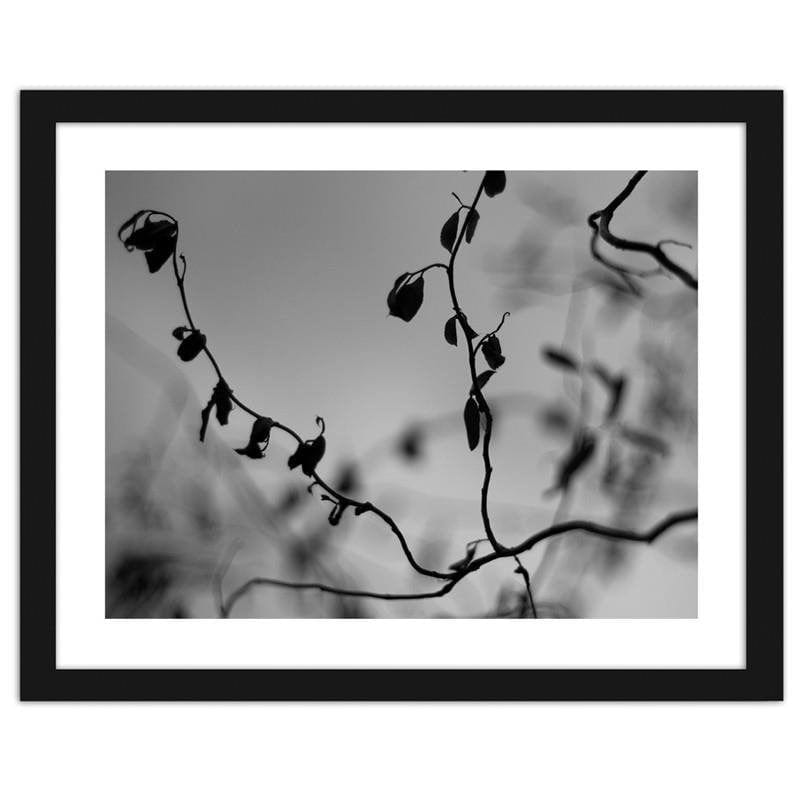 Glezna melnā rāmī - Twig on grey background 2 Home Trends