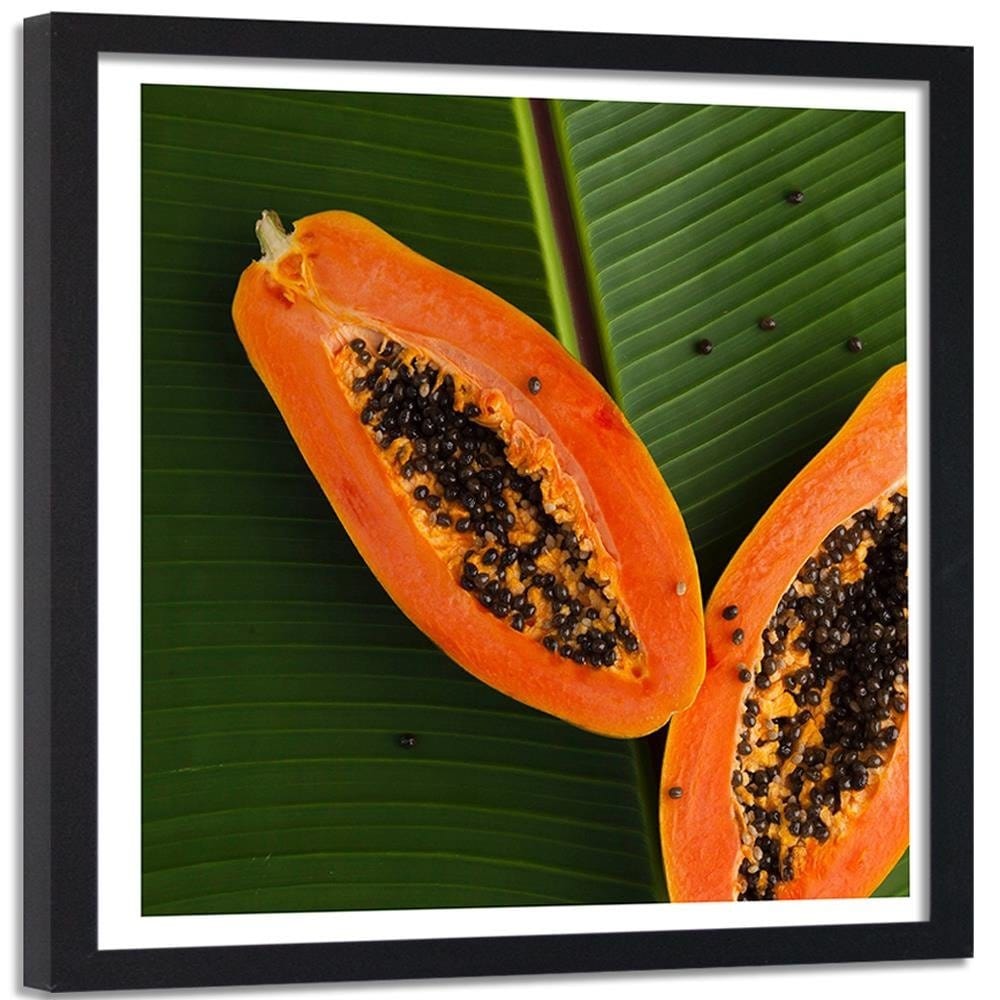 Glezna melnā rāmī - Two Halves Papaya 2 Home Trends