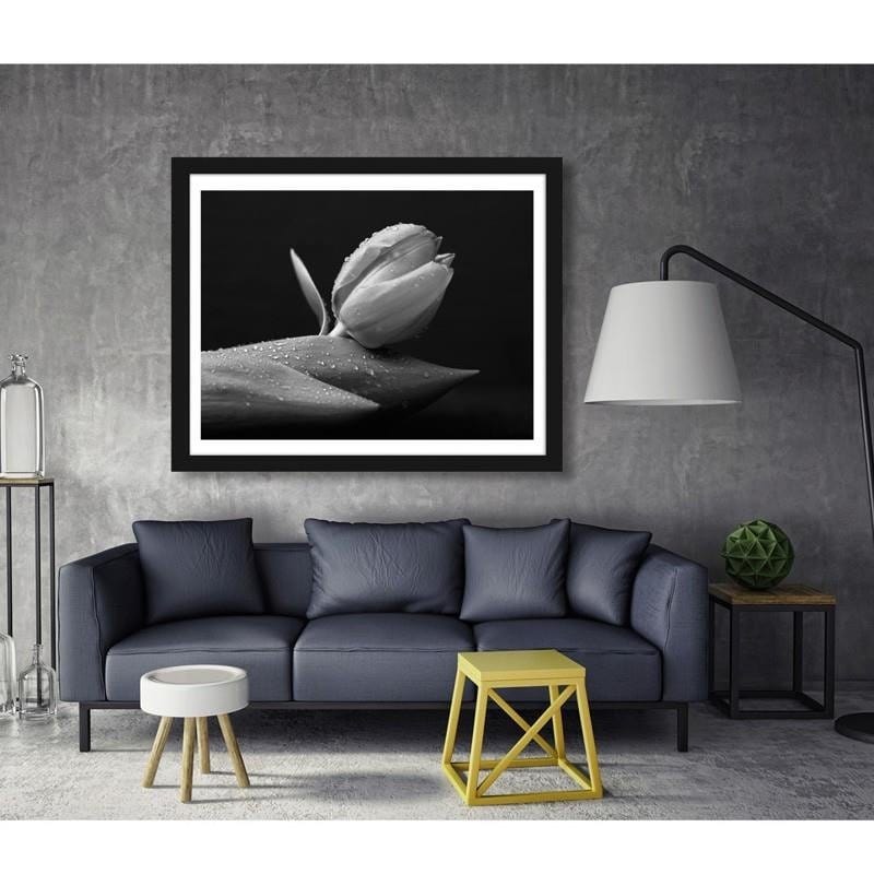 Glezna melnā rāmī - Water drops on the tulip Home Trends