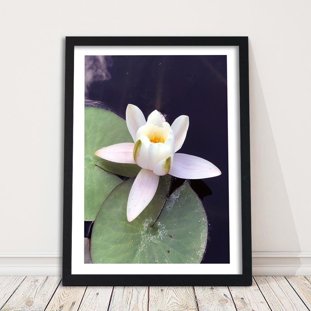 Glezna melnā rāmī - Water Lily Flower Home Trends