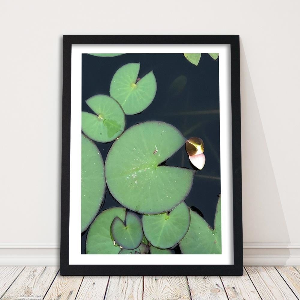 Glezna melnā rāmī - Water Lily Leaves Home Trends