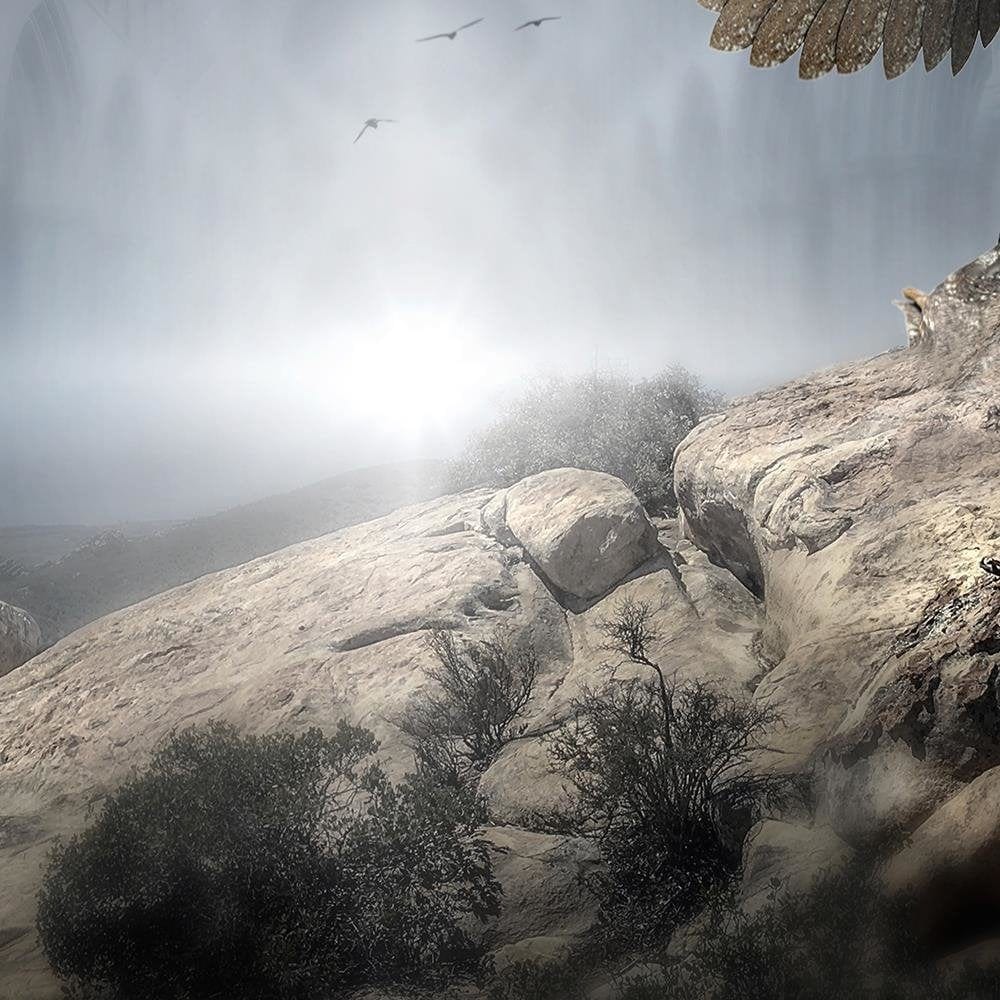 Glezna melnā rāmī - Weeping Angel On The Rock Fantasy Home Trends