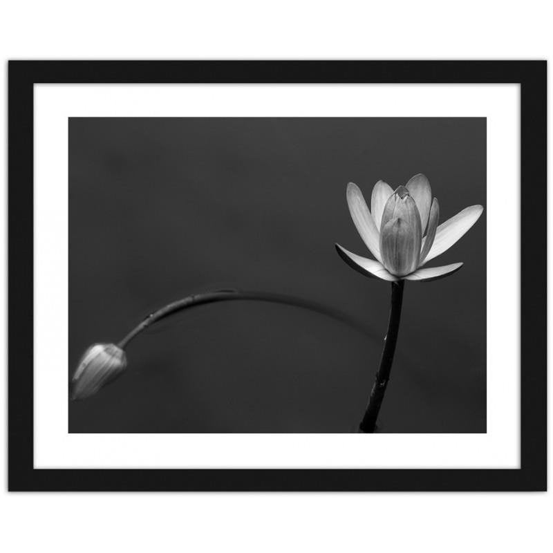 Glezna melnā rāmī - White flower 2 Home Trends