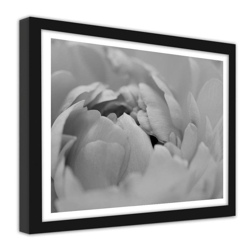 Glezna melnā rāmī - White flower macro Home Trends