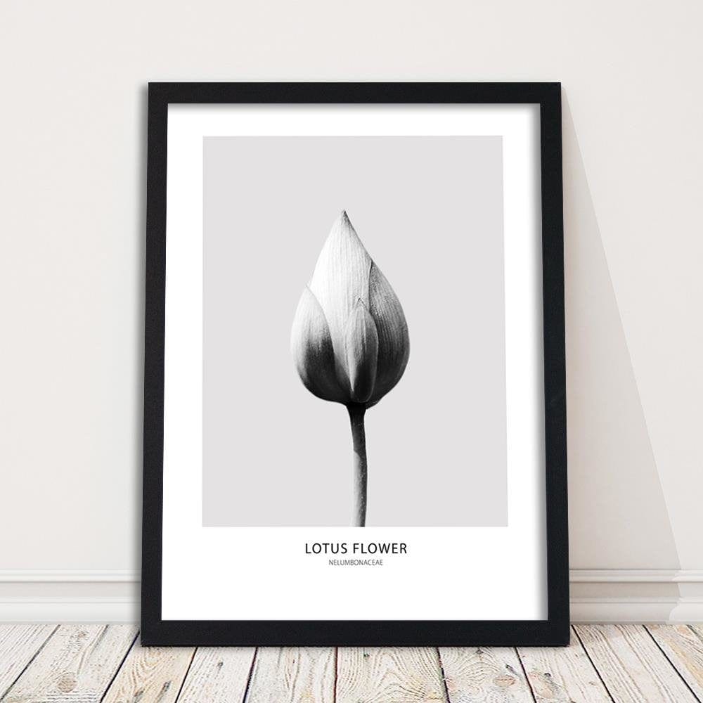 Glezna melnā rāmī - White Lotus Bud Home Trends