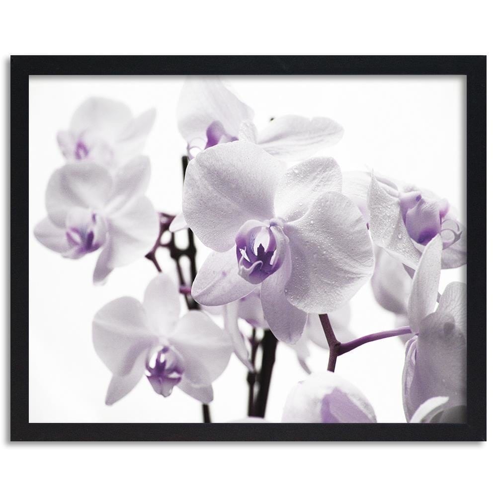 Glezna melnā rāmī - White Orchid 3 Home Trends