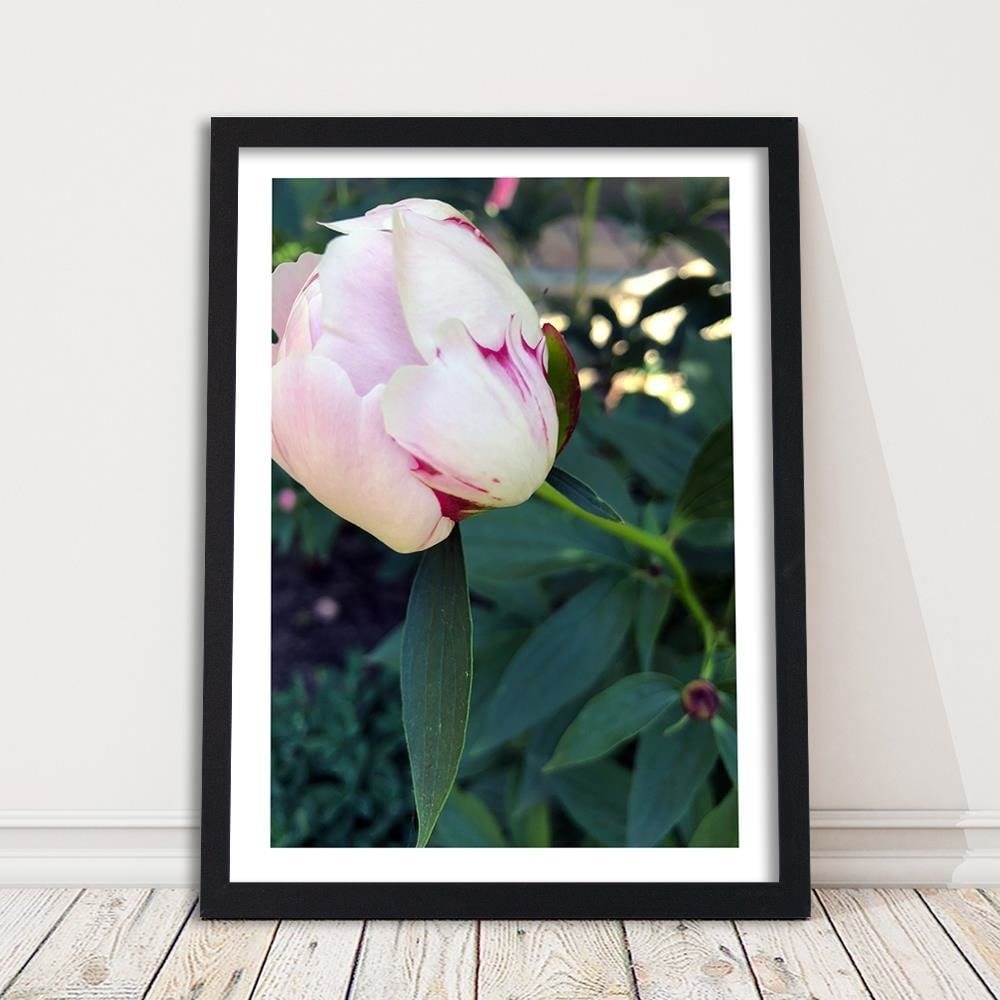 Glezna melnā rāmī - White Peony Home Trends