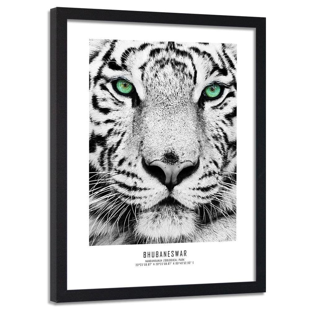 Glezna melnā rāmī - White Tiger Home Trends