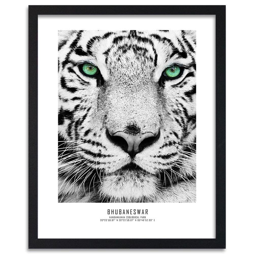 Glezna melnā rāmī - White Tiger Home Trends