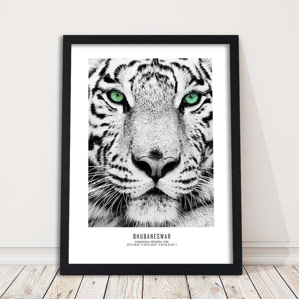 Glezna melnā rāmī - White Tiger Home Trends