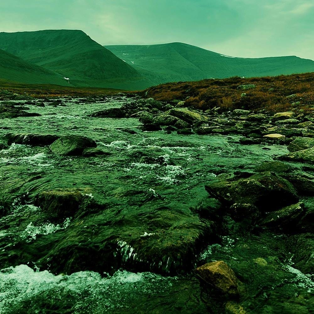 Glezna melnā rāmī - Wild River In The Green Home Trends