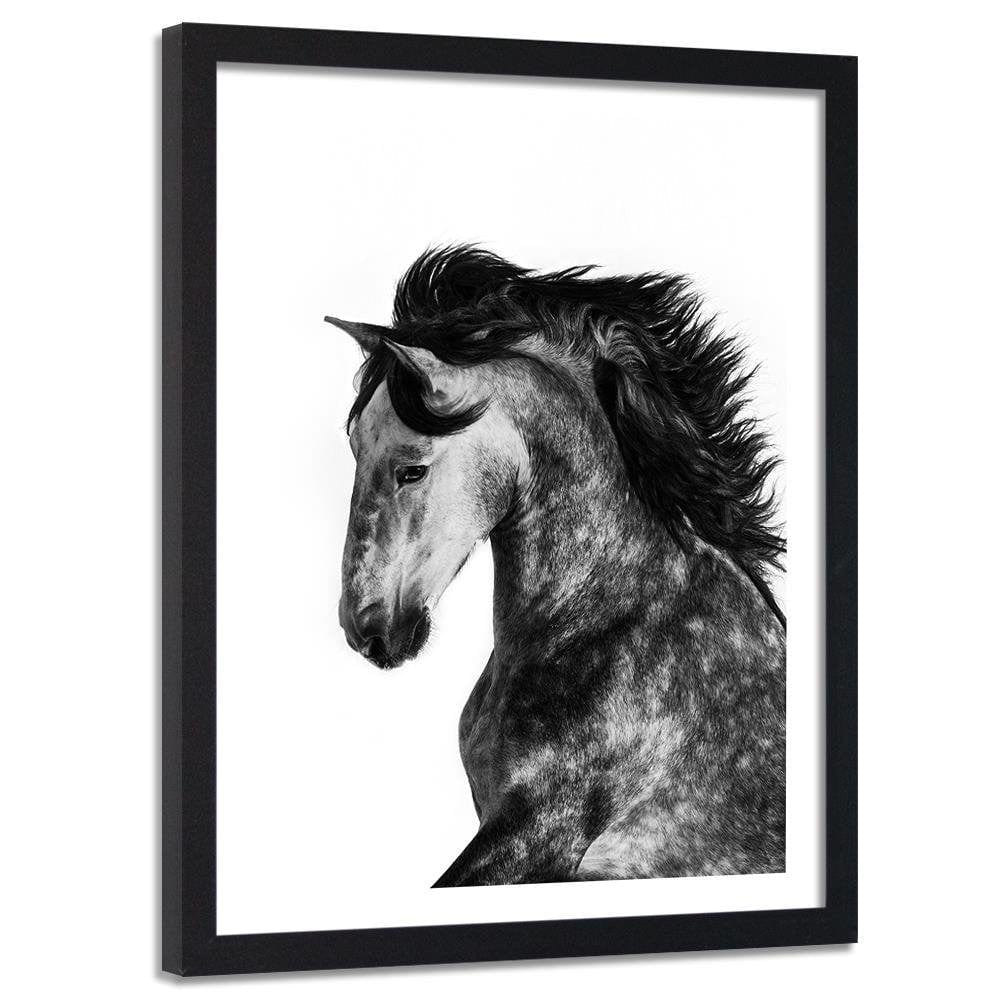 Glezna melnā rāmī - Wild Steed Home Trends