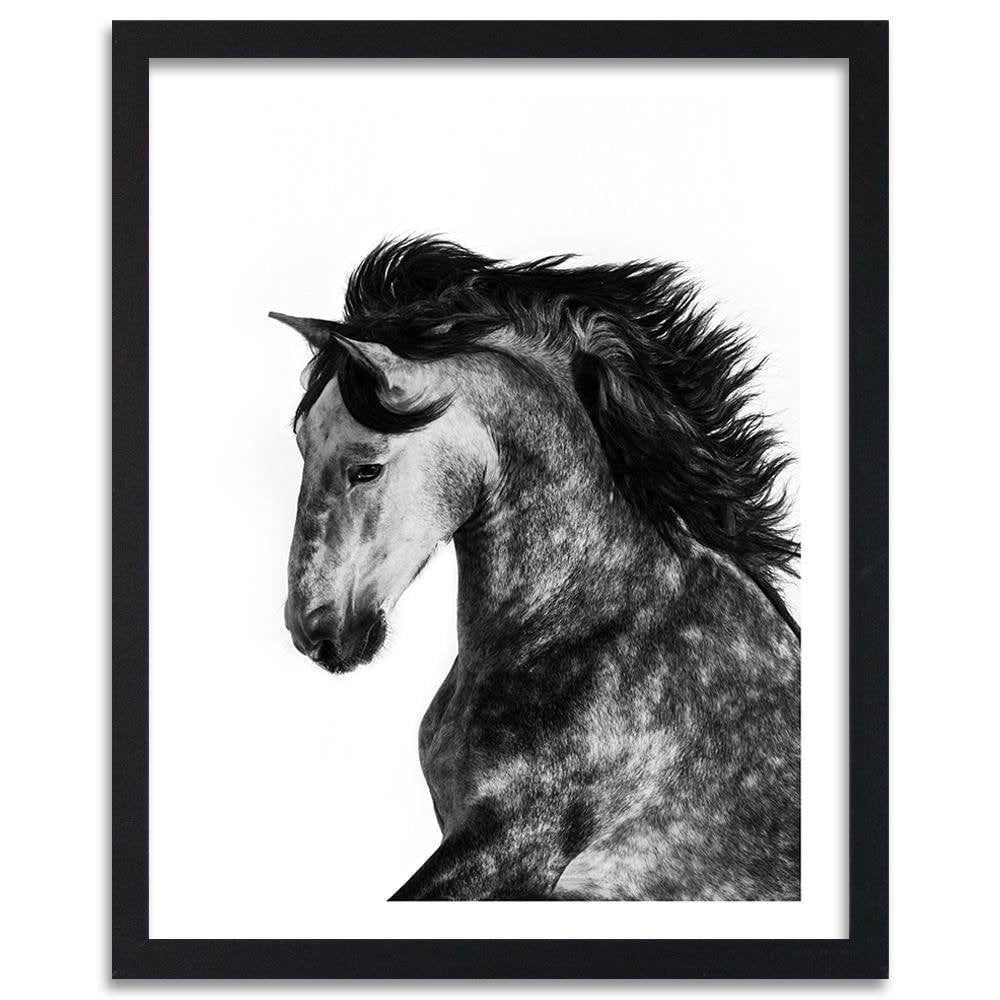 Glezna melnā rāmī - Wild Steed Home Trends