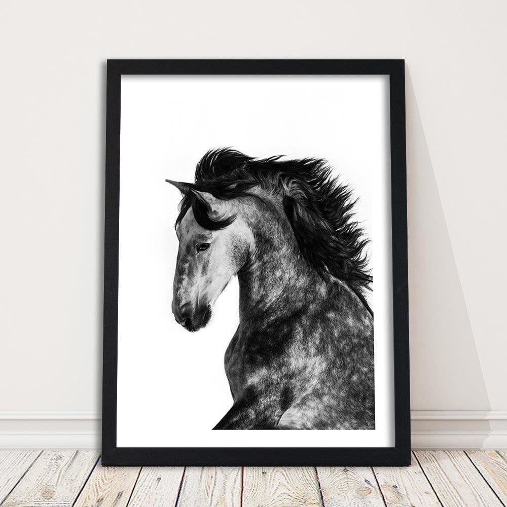 Glezna melnā rāmī - Wild Steed Home Trends