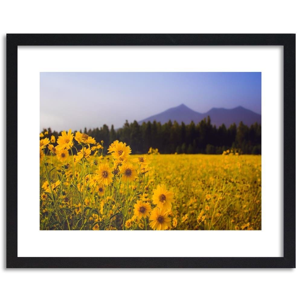 Glezna melnā rāmī - Wild Yellow Flower Home Trends
