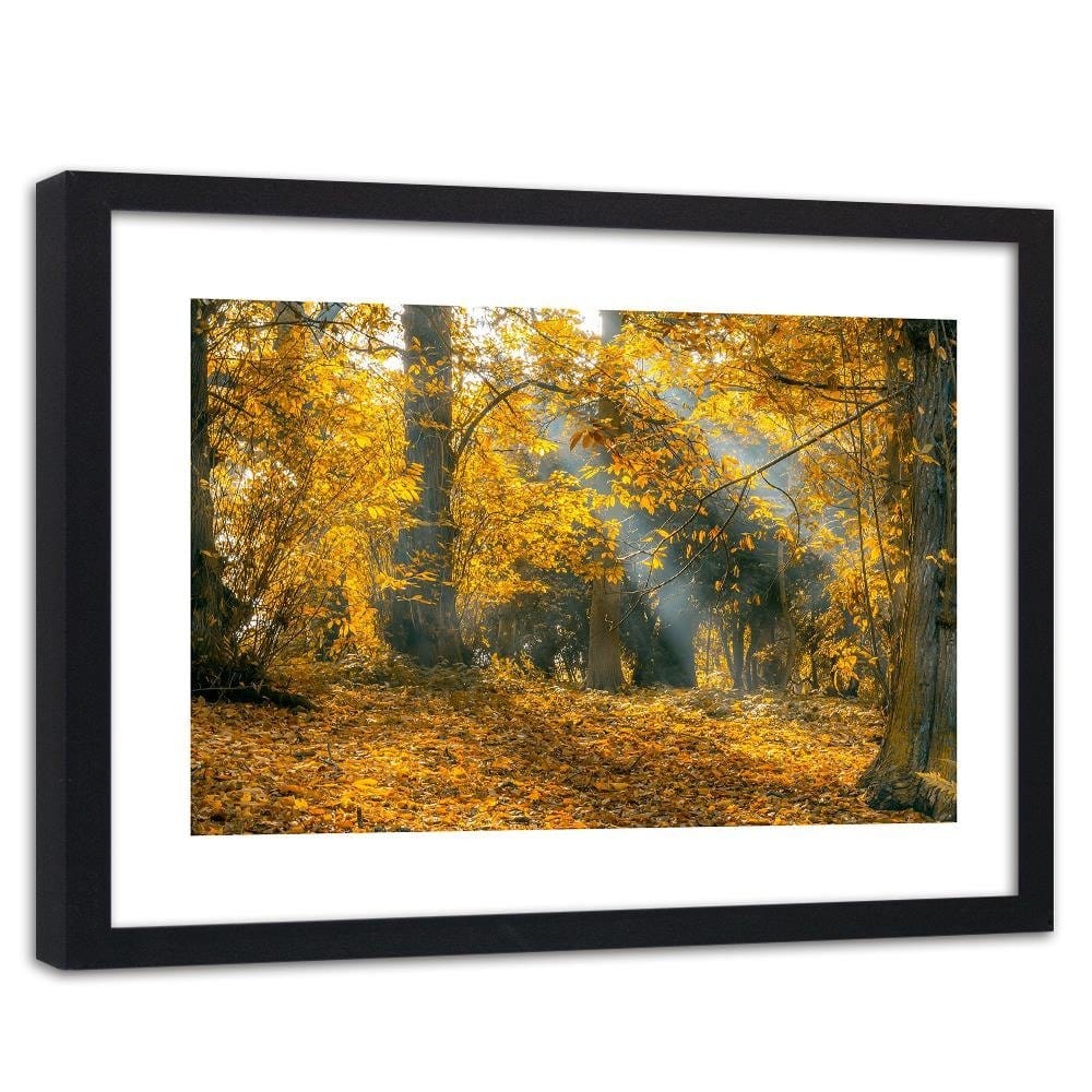 Glezna melnā rāmī - Yellow Trees In The Park Home Trends