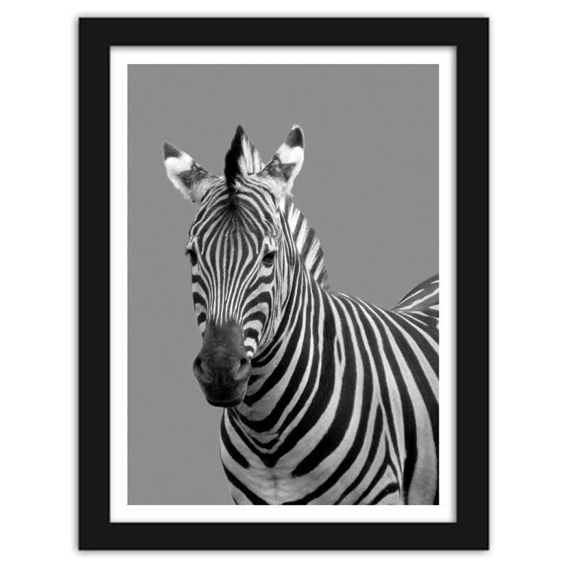 Glezna melnā rāmī - Zebra in black and white Home Trends