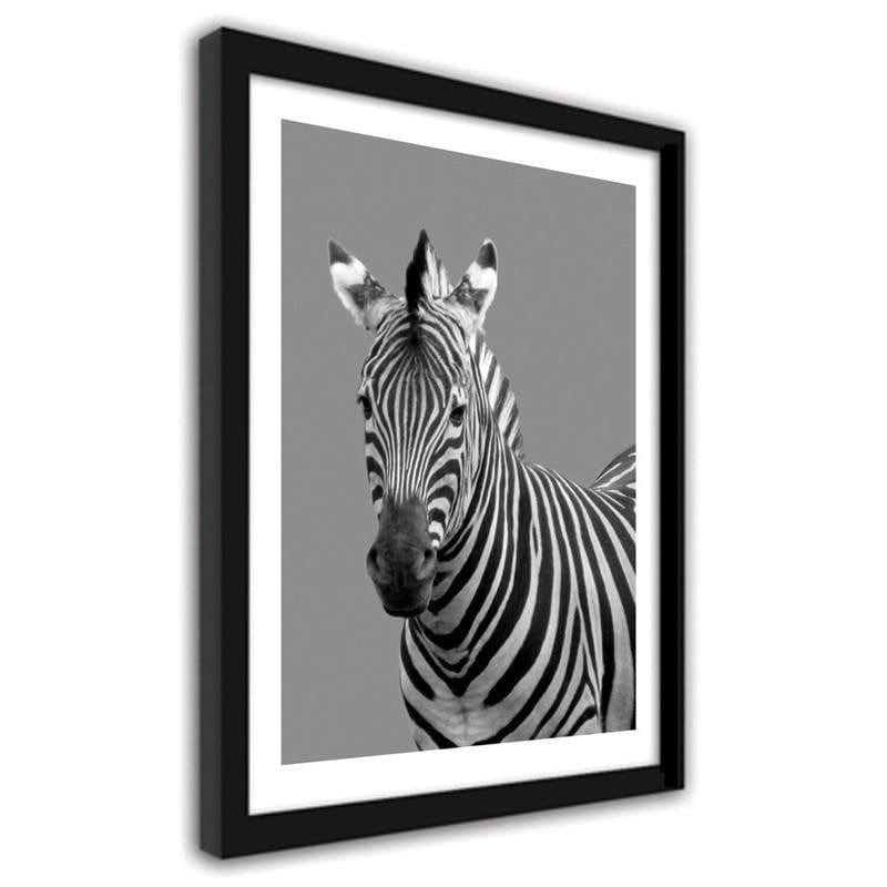 Glezna melnā rāmī - Zebra in black and white Home Trends