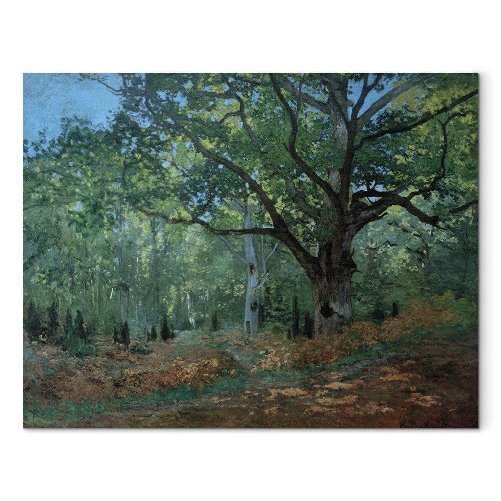 Gleznas reprodukcija - Claude Monet - Un chene au Bas -Breau (Le Bodmer) G-ART