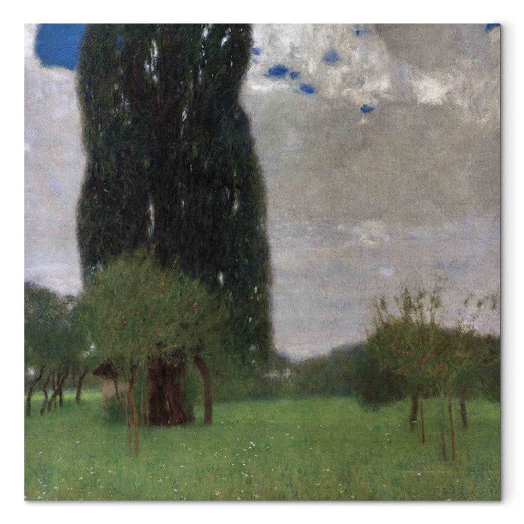 Gleznas reprodukcija - Gustav Klimt - Die groae Pappel I G-ART