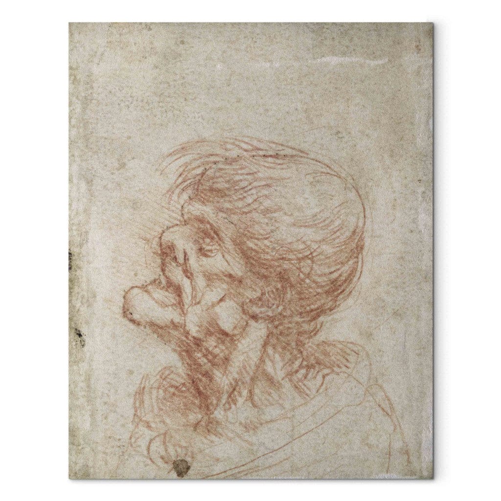 Gleznas reprodukcija - Leonardo da Vinci - Caricature Head Study of an Old Man G-ART