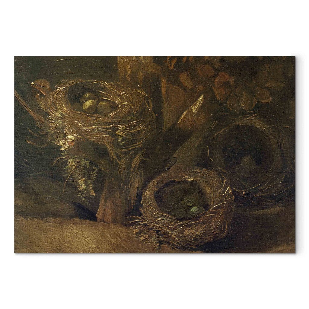 Gleznas reprodukcija - Vincent van Gogh - Bird's nests G-ART