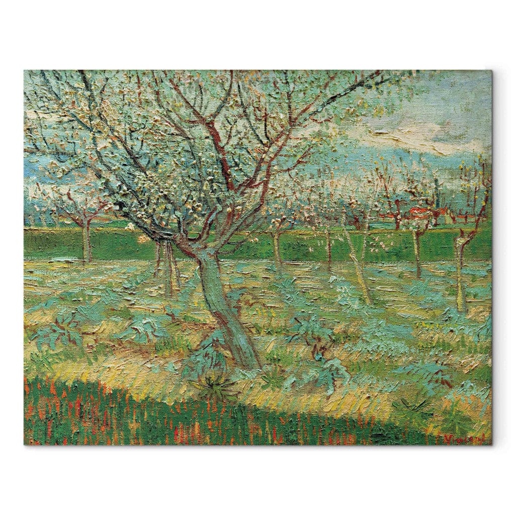 Gleznas reprodukcija - Vincent van Gogh - Orchard with Apricot Trees in Blossom G-ART
