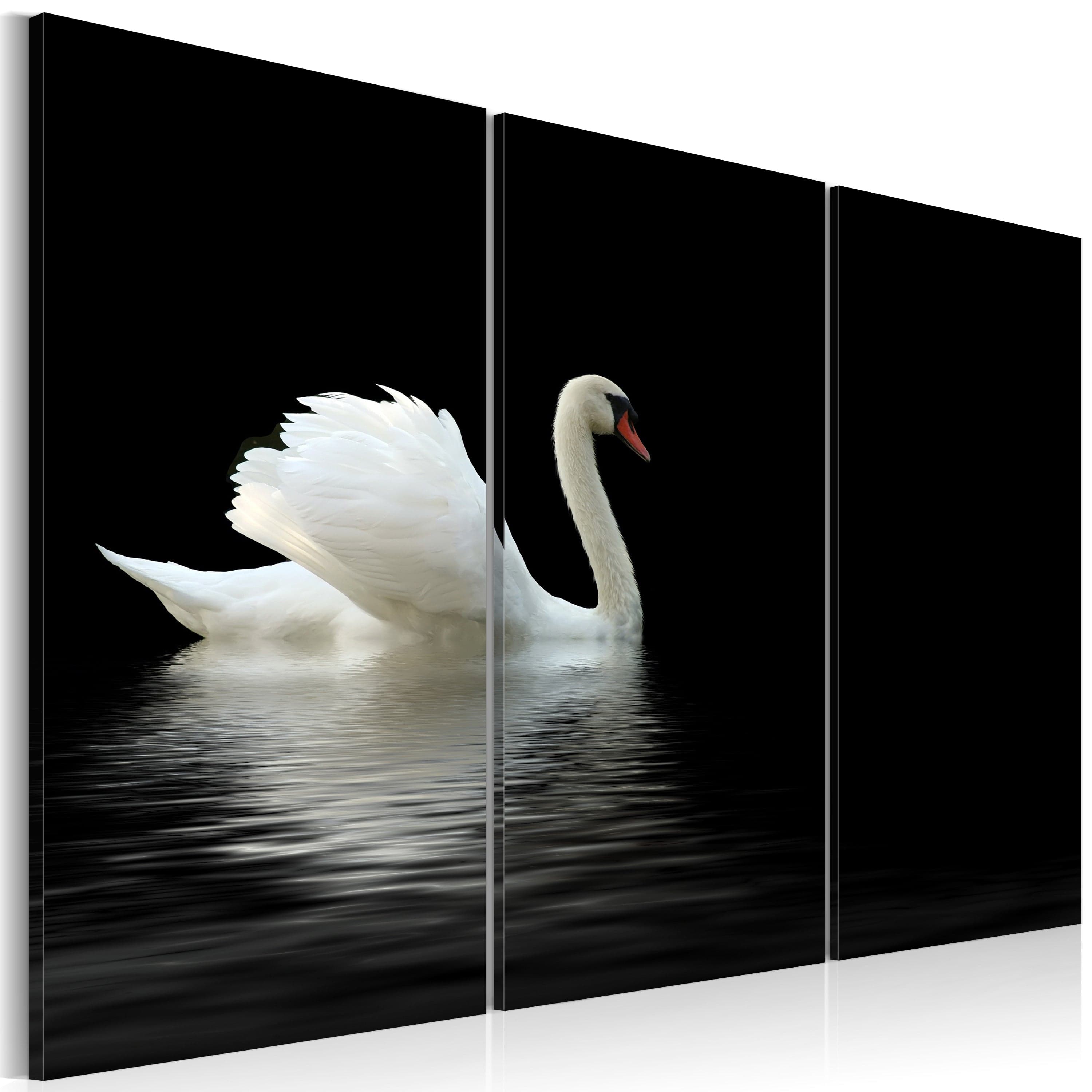 Glezna - A lonely white swan Home Trends