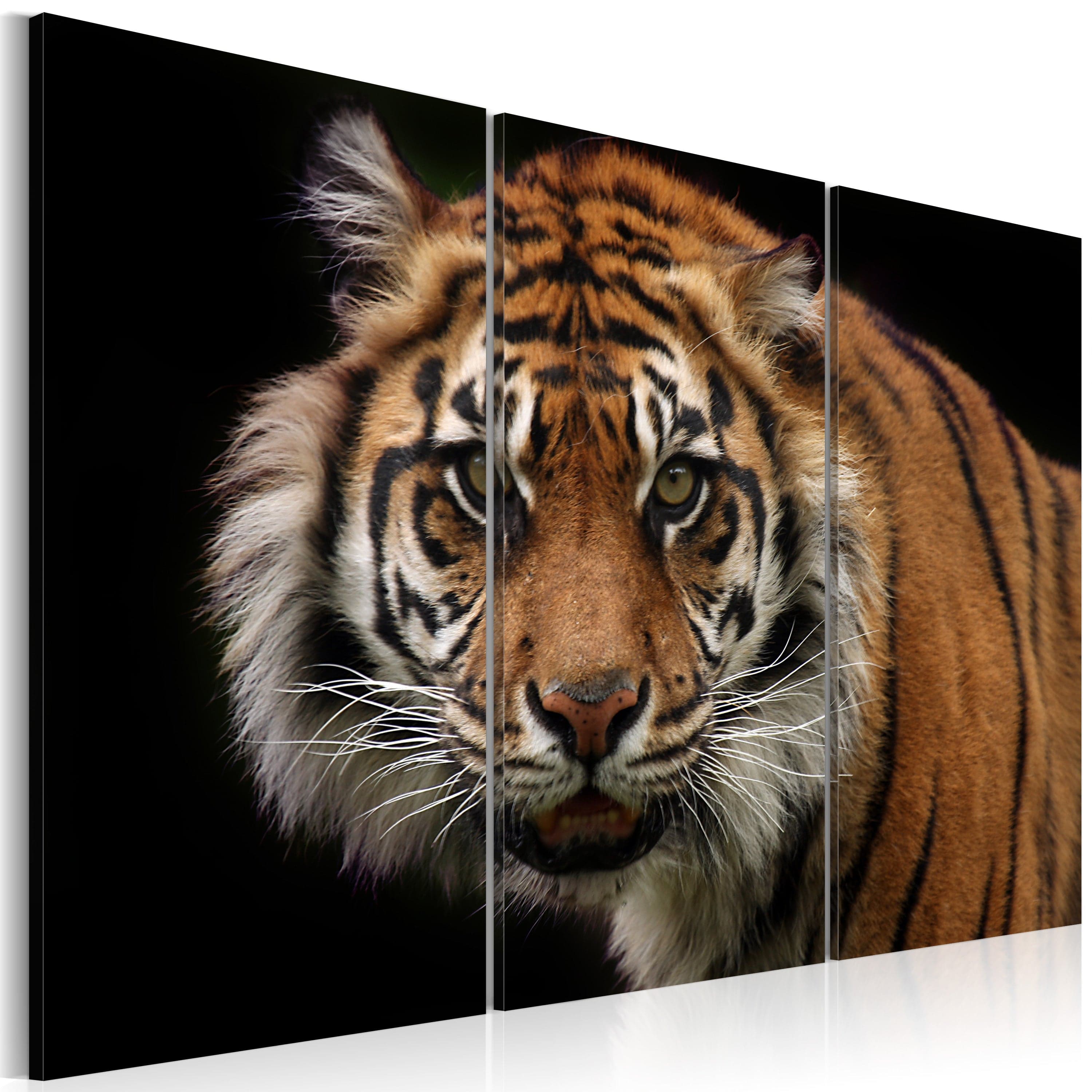 Glezna - A wild tiger Home Trends