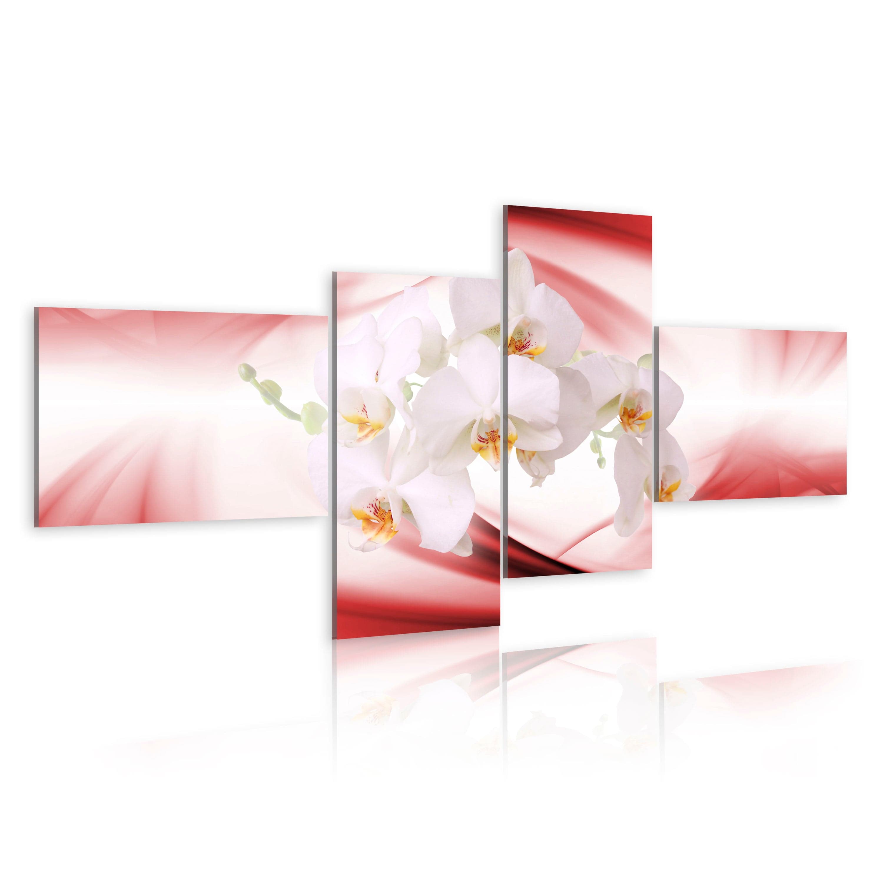 Glezna - An orchid in pink shade Home Trends