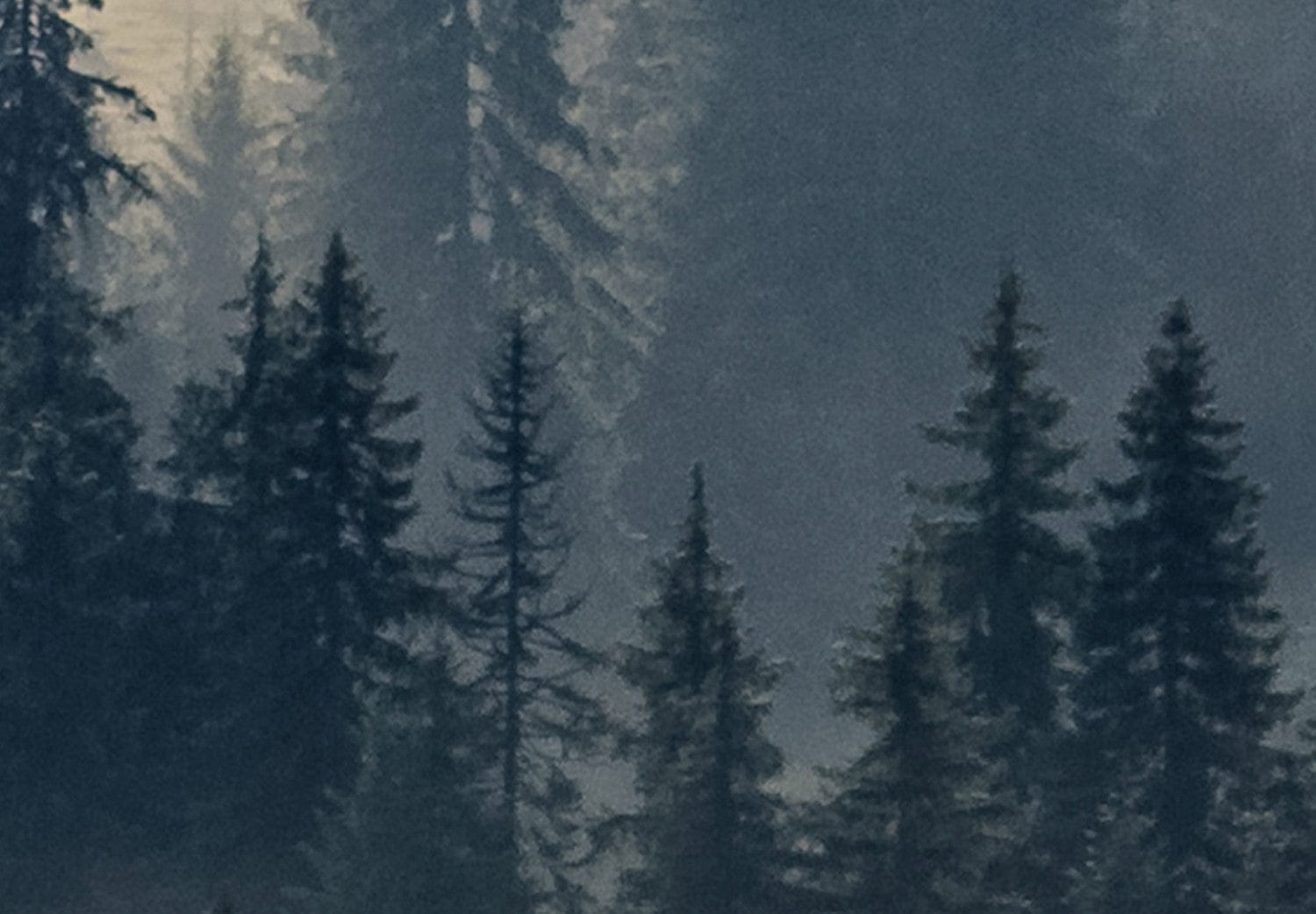 Glezna ar meža skatu - Mežs miglā, 105610 Home Trends