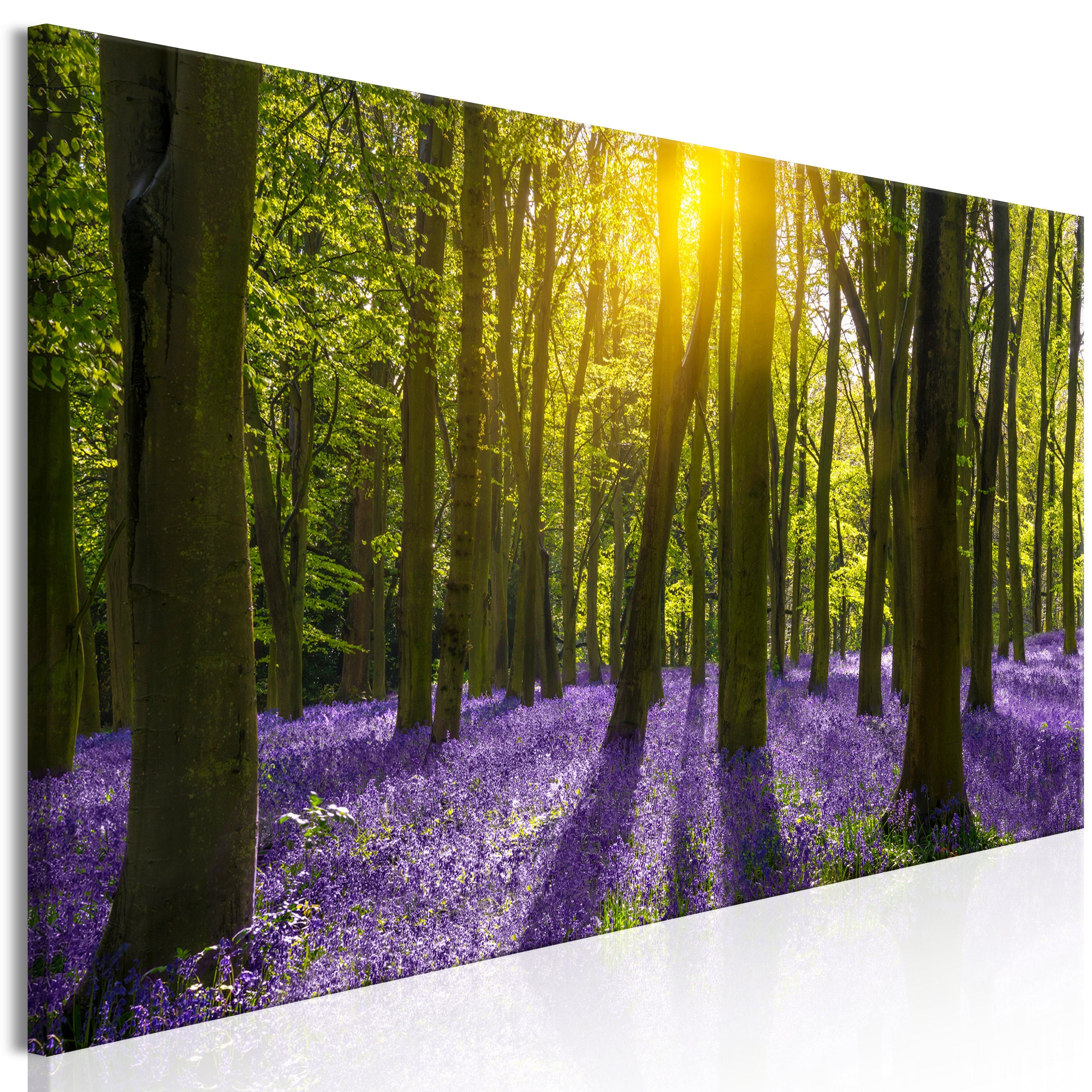 Glezna ar skaistu dabu - Hiacintu lauks (1 daļa) horizontāla Home Trends