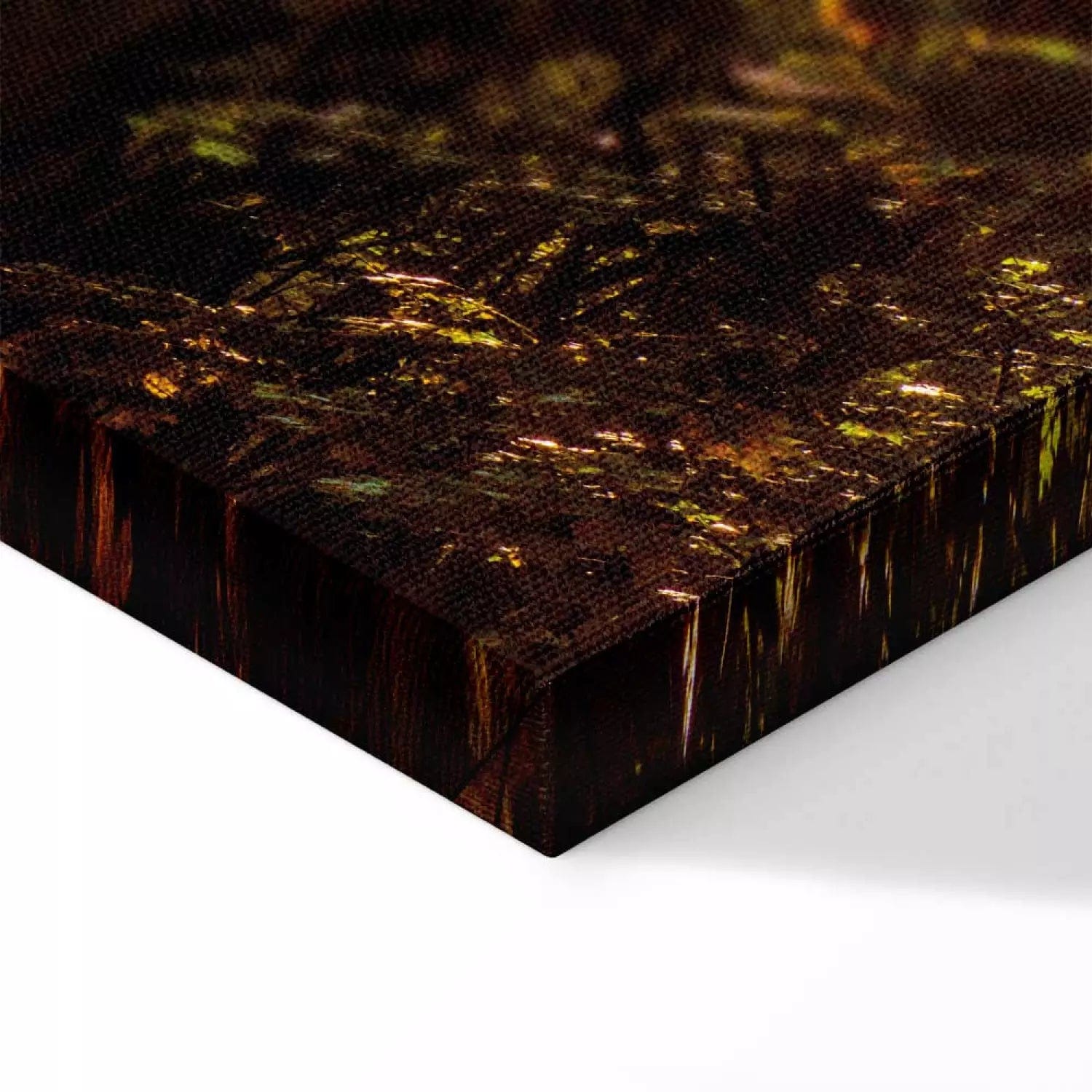 Kanva ar skaistu dabu - Mežs saules gaismā, 62442 Home Trends