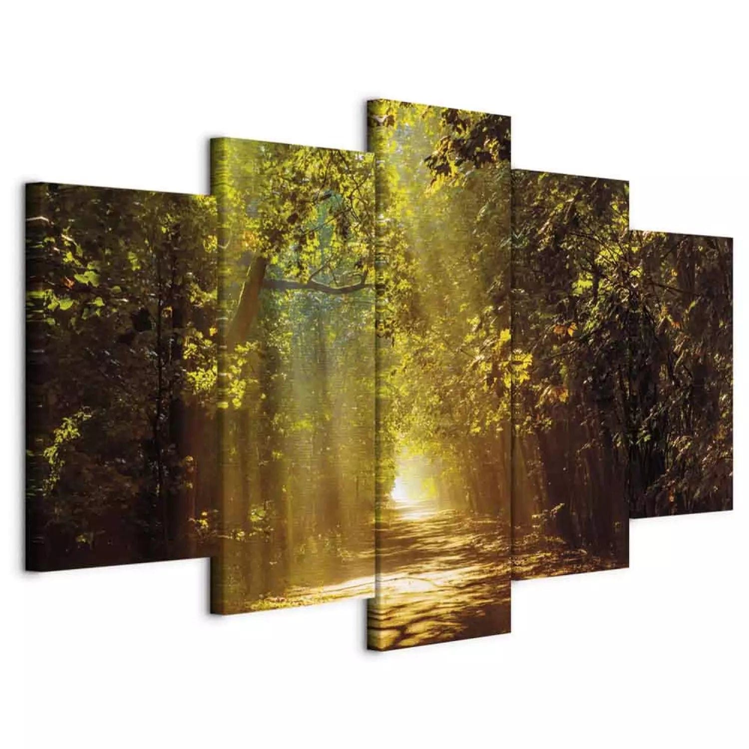 Kanva ar skaistu dabu - Mežs saules gaismā, 62442 Home Trends