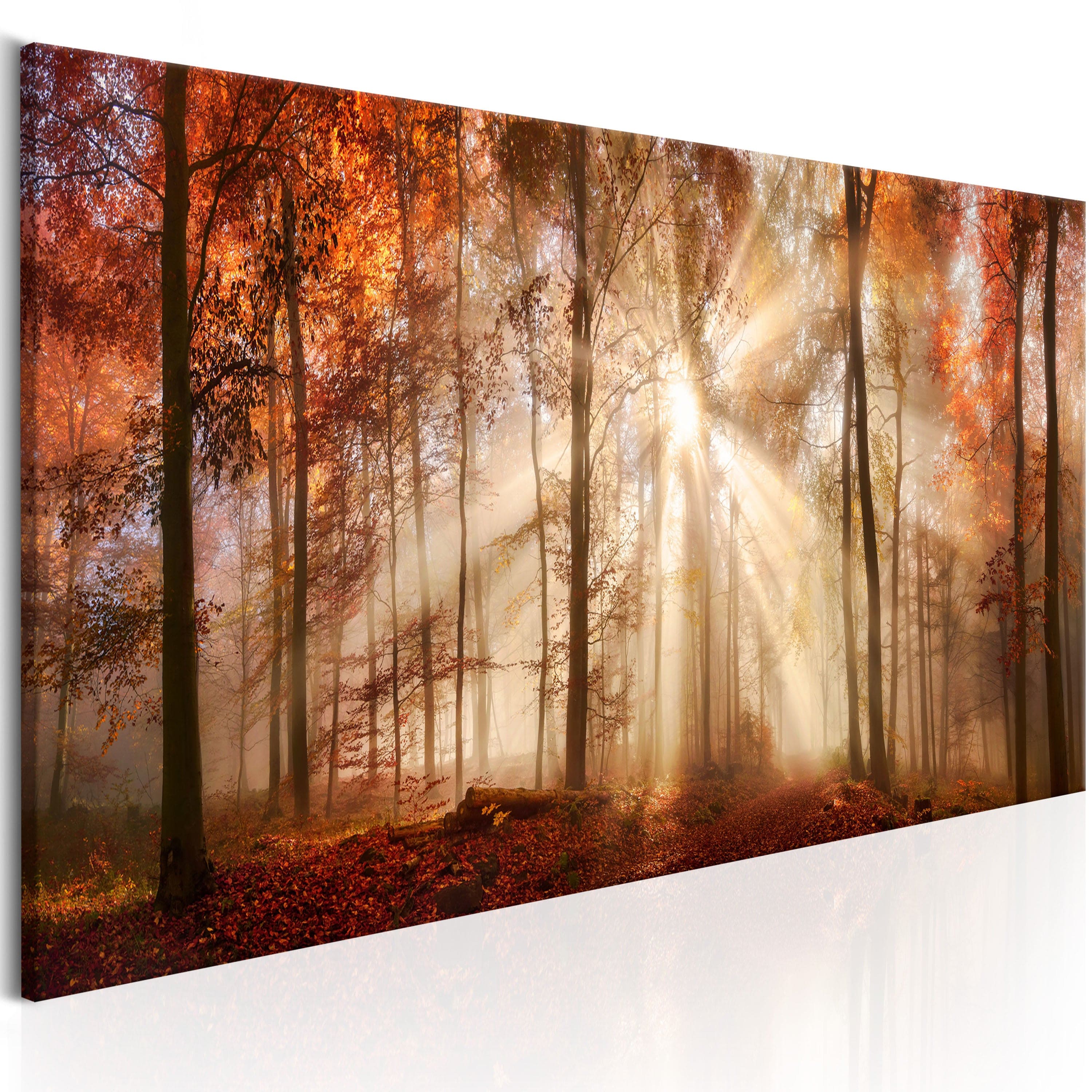 Glezna ar skaistu dabu - Rudens rītausma Home Trends